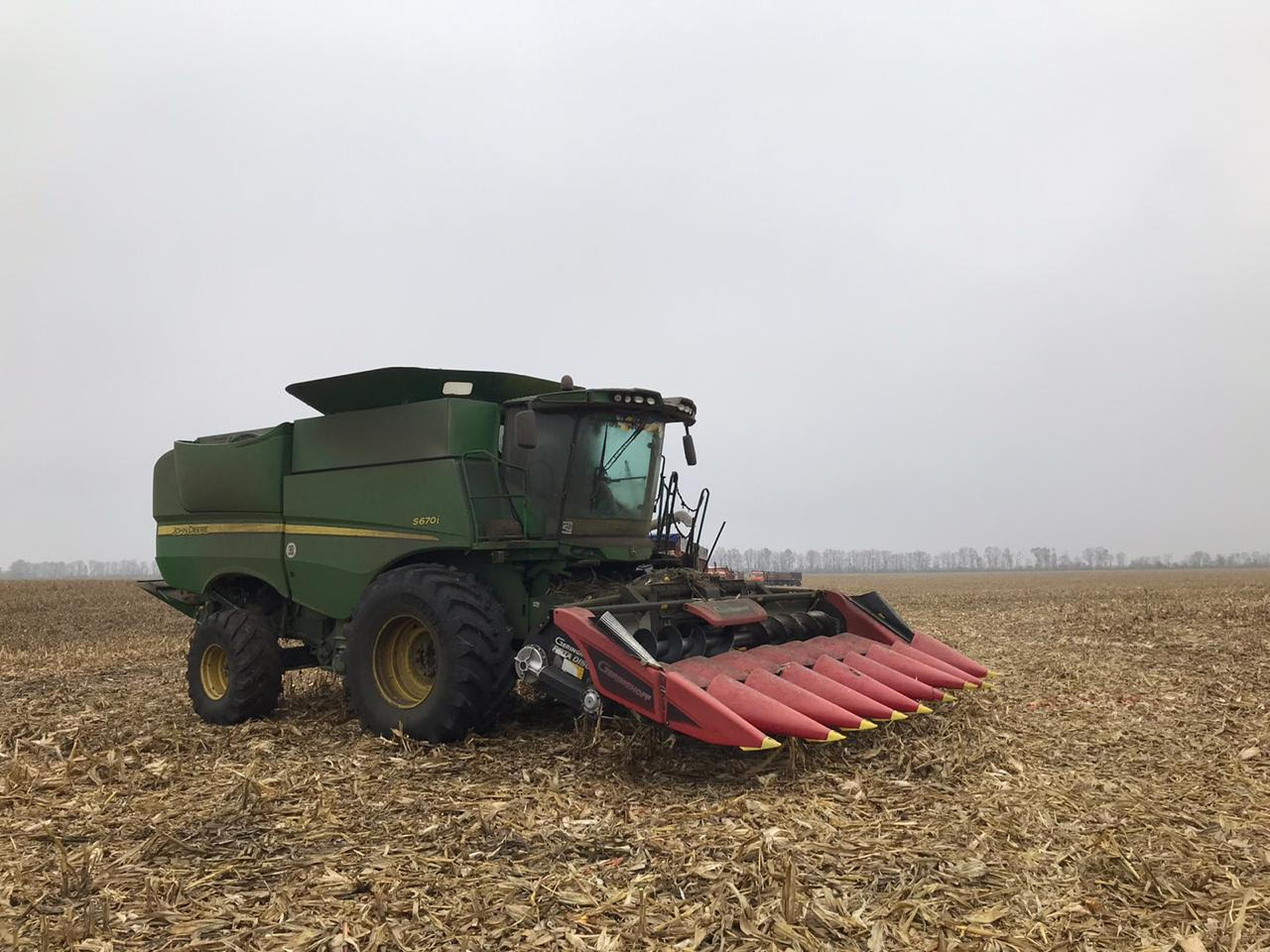 Конкурентні зарплати в агробізнесі залучають в галузь все більше молоді - менеджер "Укрлендфармінга"